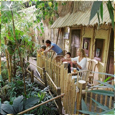 natuur op expeditie  eigen land   een overnachting  een jungle cabana  het