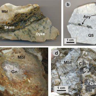 photographs demonstrating rock types  skarn type mineralization