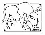 Buffalo Coloring Pages African Color Printable Water Animals Colouring Popular Books Comments sketch template
