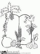 Coloring Pages Kiddush Colouring Cup Related sketch template