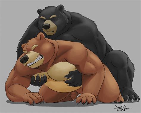 rule 34 2014 anal anal sex anthro balls bear biceps black bear black nose chubby claws