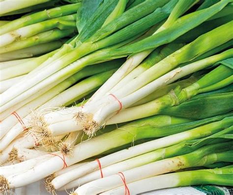 spring onions flinchbaughs orchard farm market