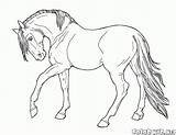 Konie Kolorowanki Koń Idzie Powoli sketch template