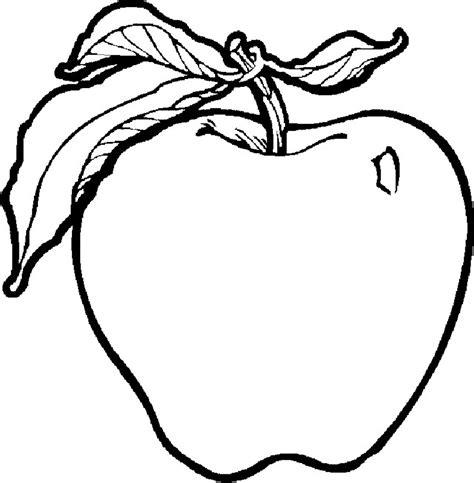apple clipart coloring   cliparts  images  clipground