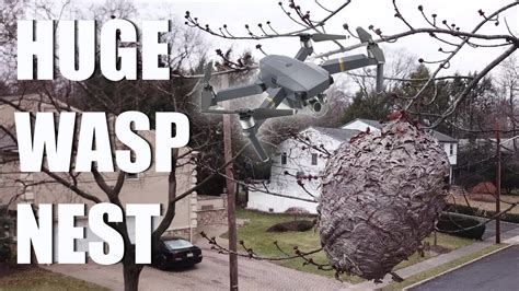paper wasp nest drone view dji mavic pro youtube