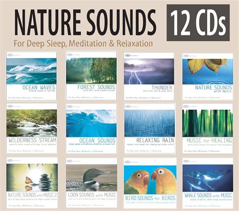 rest  relax nature artist series nature sounds  cd set ocean