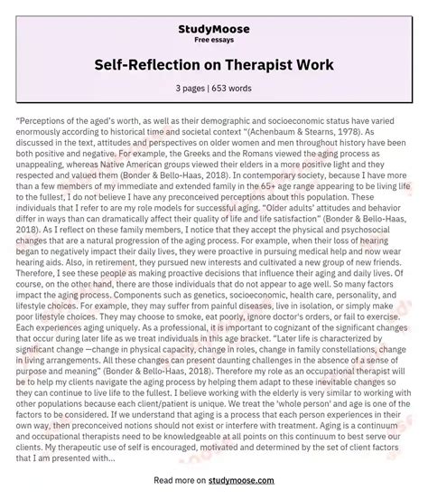 reflection  therapist work  essay