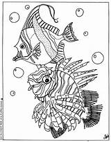Fish Tropical Coloring Pages Fishes Sea Hellokids Coloriage Color Ausmalen Fische Print Ocean Para Poissons Lesson Sheet Nice Printable Animal sketch template