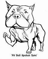 Pitbull Coloring Pages Sketch Make Pit Bull Homies Puppy Color Drawing Bulls Getdrawings Getcolorings Pitbulls Template Print Printable sketch template