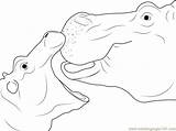 Hippopotamus Coloring sketch template