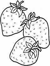 Fragole Fragola Disegno Proprio Giardino Frutta sketch template