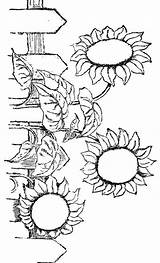 Sunflowers Karenswhimsy sketch template