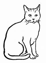 Cat Printable Coloring Sitting Computer Right Click Save sketch template