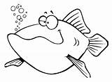 Pesce Simpatico Coloradisegni Specie sketch template