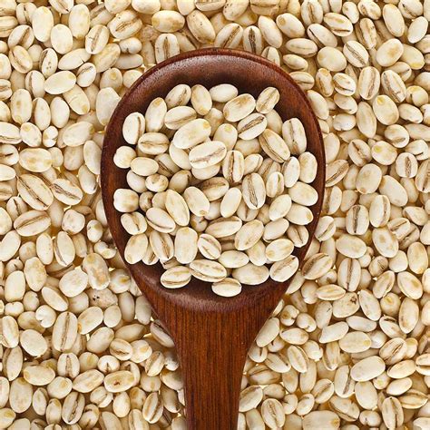 ouf  faits sur barley bread benefits health benefits  barley