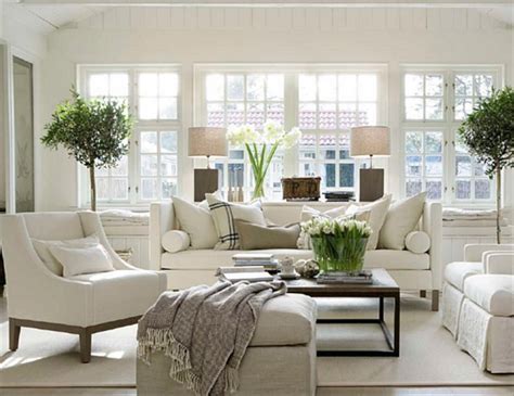 cozy traditional living room indoor plant modern white decorwhg