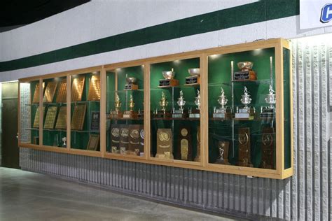 suspended trophy display case fixed  wall design display