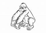 Gorilla Coloring Pages Zoo Animal Printable Da Colorare Disegno Clipart Clip Library sketch template