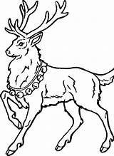 Reindeer Coloring Christmas Pages Drawing Deer Drawings Easy Clipart Cool Santa Clip Antlers Cliparts Getdrawings Library Claus Jour Avent Calendrier sketch template
