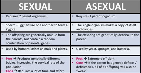Biology And Geology 1º Eso Comparison Of Asexual And Sexual Reproduction