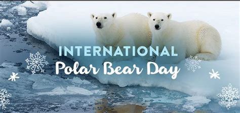 international polar bear day  february  significance history