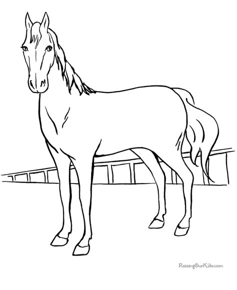 horse coloring pages animals