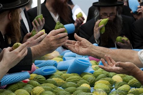 gorgeous pictures  capture  beauty  sukkot touchpoint israel