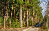 Image result for Chęcińsko Kielecki_park_krajobrazowy. Size: 163 x 106. Source: peakvisor.com