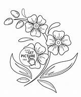 Coloring Flowers Pages Printable Kids sketch template