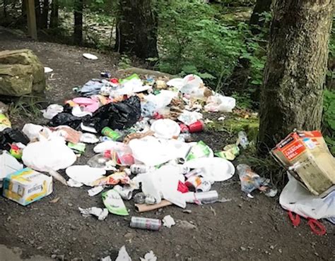 dec releases psa addressing litter left  visitors  state parks