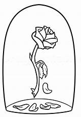 Rose Beast Beauty Drawing Coloring Easy Pages Draw Flower Step Outline Silhouette Roses Simple Drawings Clipartmag Disney Getdrawings Medusa Pretty sketch template