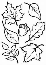 Herbst Herbstblätter Kindern sketch template