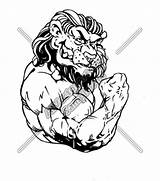 Lion Bodybuilder Drawing Muscular Bodybuilding Pencil Drawings Flexing Clipart Getdrawings Vector Newdesign Via sketch template
