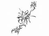Tribal Flower Tattoo Tattoos Designs Lily Vine Women Simple Clipart Flowers Leaf Clip Clover Four Cliparts Library Amazing Heart Tiger sketch template