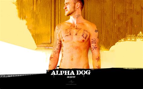 alpha dog alpha dog photo  fanpop