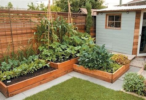 backyard vegetable garden design plans image