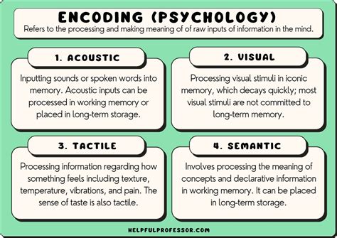encoding examples psychology