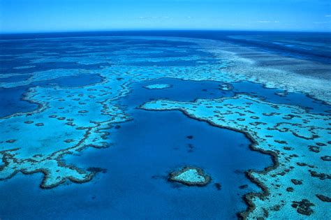 phoebettmh travel australia    great barrier reef
