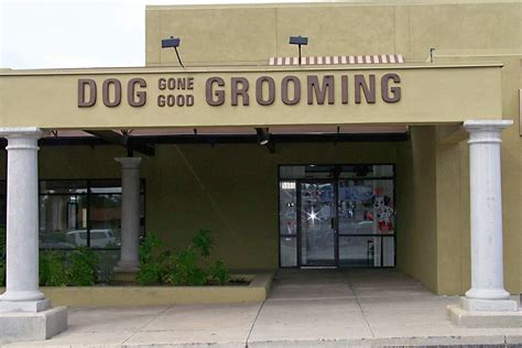 dog  good pet grooming tucson az