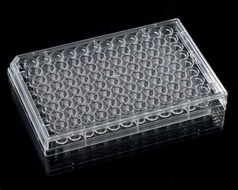 china chinese clear plastic   cell culture plate tissue plate