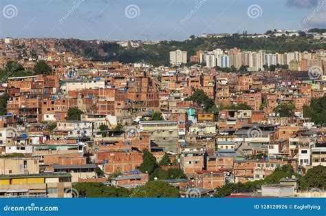 slums   world favelas  brazil royalty  stock photography