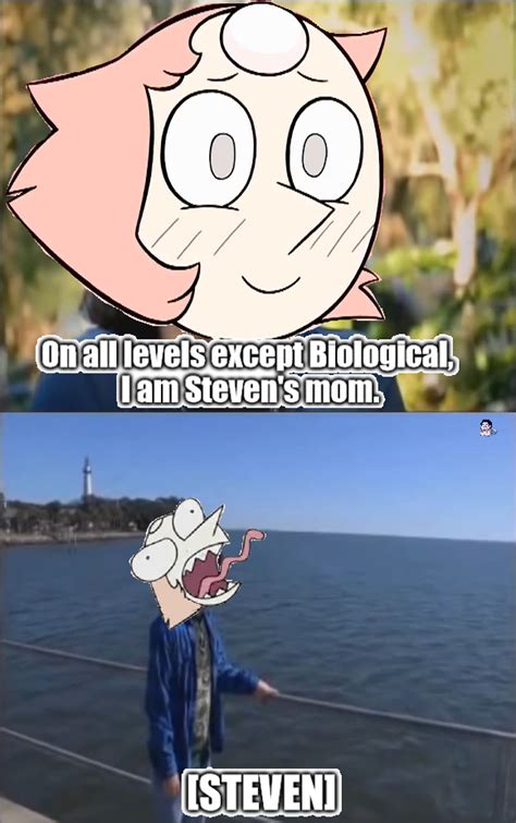 On All Levels Except Biological I Am Steven S Mom