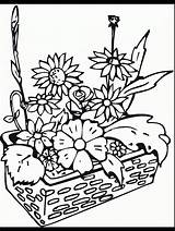 Coloring Pages Plants Flowers Flower Printable Garden Gardens Desert Primarygames Color Begonia Flori Cu Desene Imagini Science Popular Sheet для sketch template