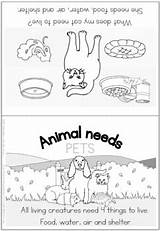 Needs Animal Pet Booklet Coloring Preview sketch template