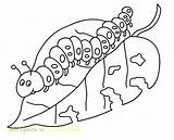 Caterpillar Hungry Coloring Very Pages Getdrawings sketch template