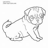 Coloring Pages Pug Puppy Pugs Dog Baby Print Puppies Drawing Printable Color Tulip Detail Nature Line Searches Related Colouring Cute sketch template