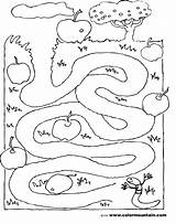 Worms Worm Maze Labirent sketch template