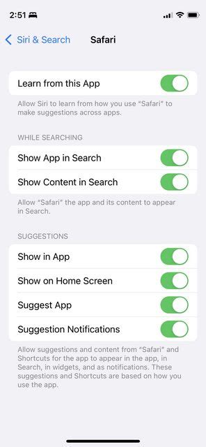 iphone    preventing ios  rich web search results