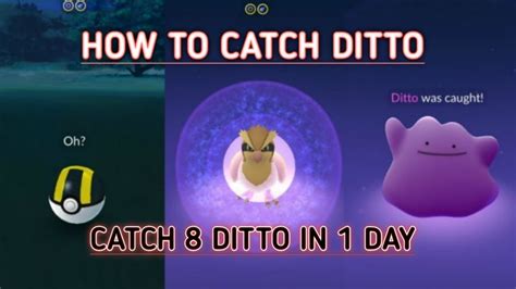 how to catch ditto in pokemon go how to find ditto catch ditto in