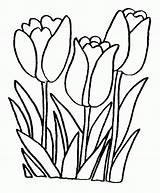 Coloring Spring Flowers Pages Printable Print Popular sketch template